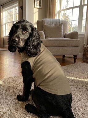 Pet Shirts (Blanks), XS - 6XL, Best Quality, Many Colors, Wholesale $